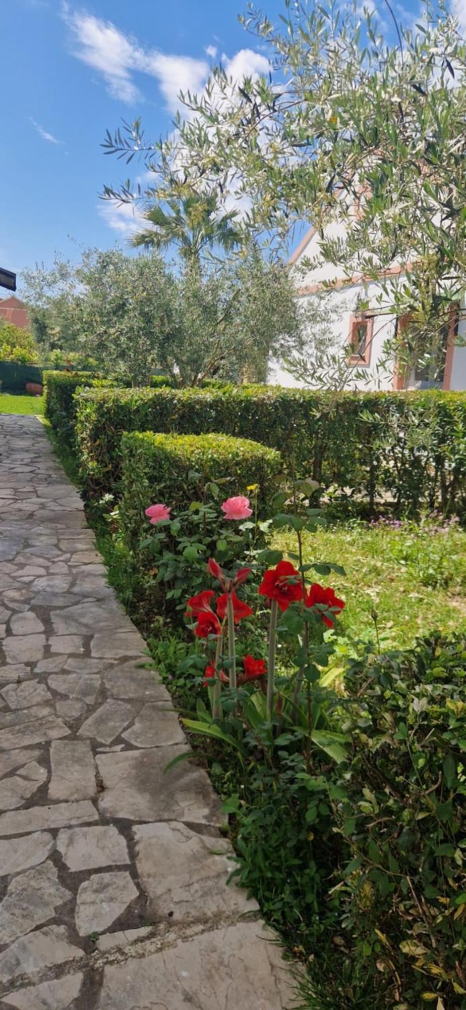 Corfu Studio 4U Roda  Exterior foto